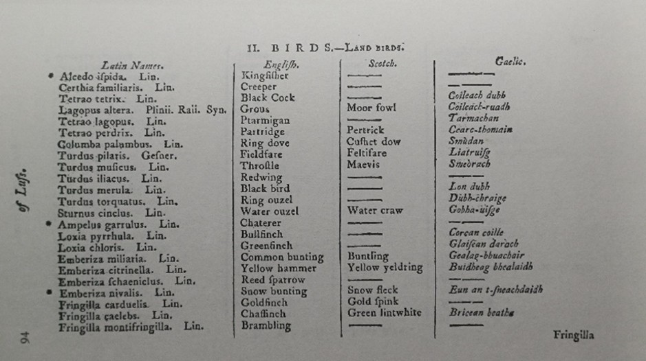 John Stuarts Account