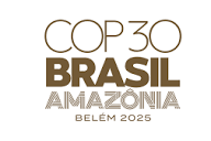 COP 30 official logo